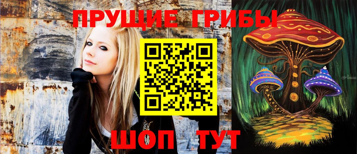 Елизово  где купить   Вход с VPN  Псилоцибиновые грибы Cubensis 
